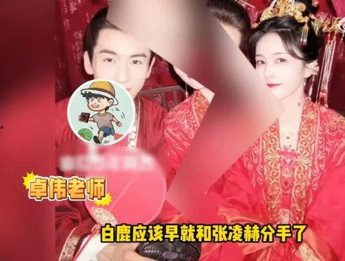 白鹿舍友爆料视频大全集